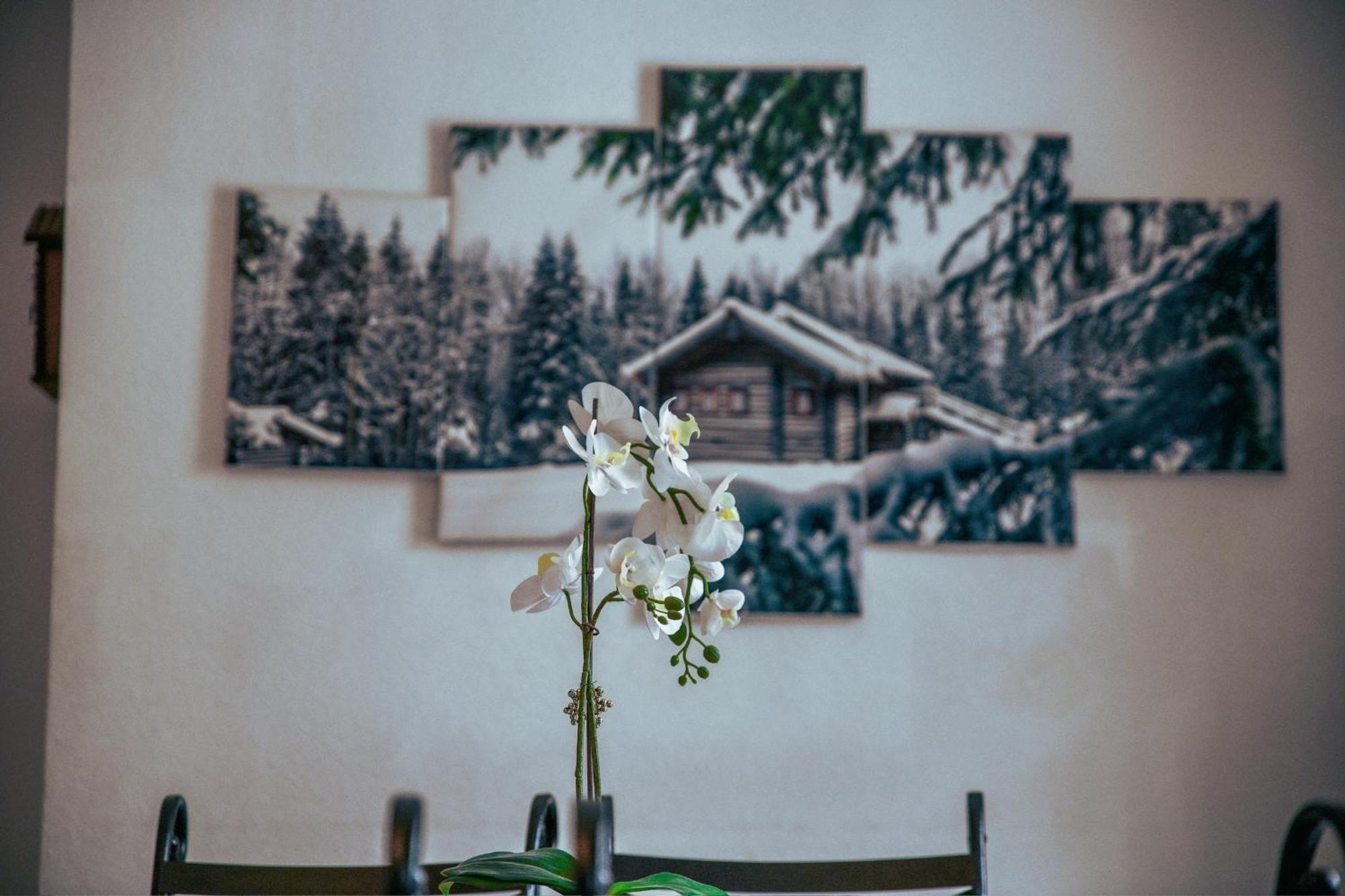 Le Cosy Apartment Gérardmer